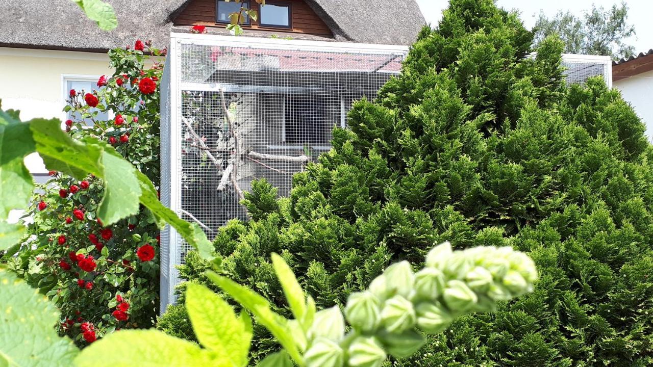 Monchgut Boddenblick Wohnung 2 Groß Zicker Exteriér fotografie